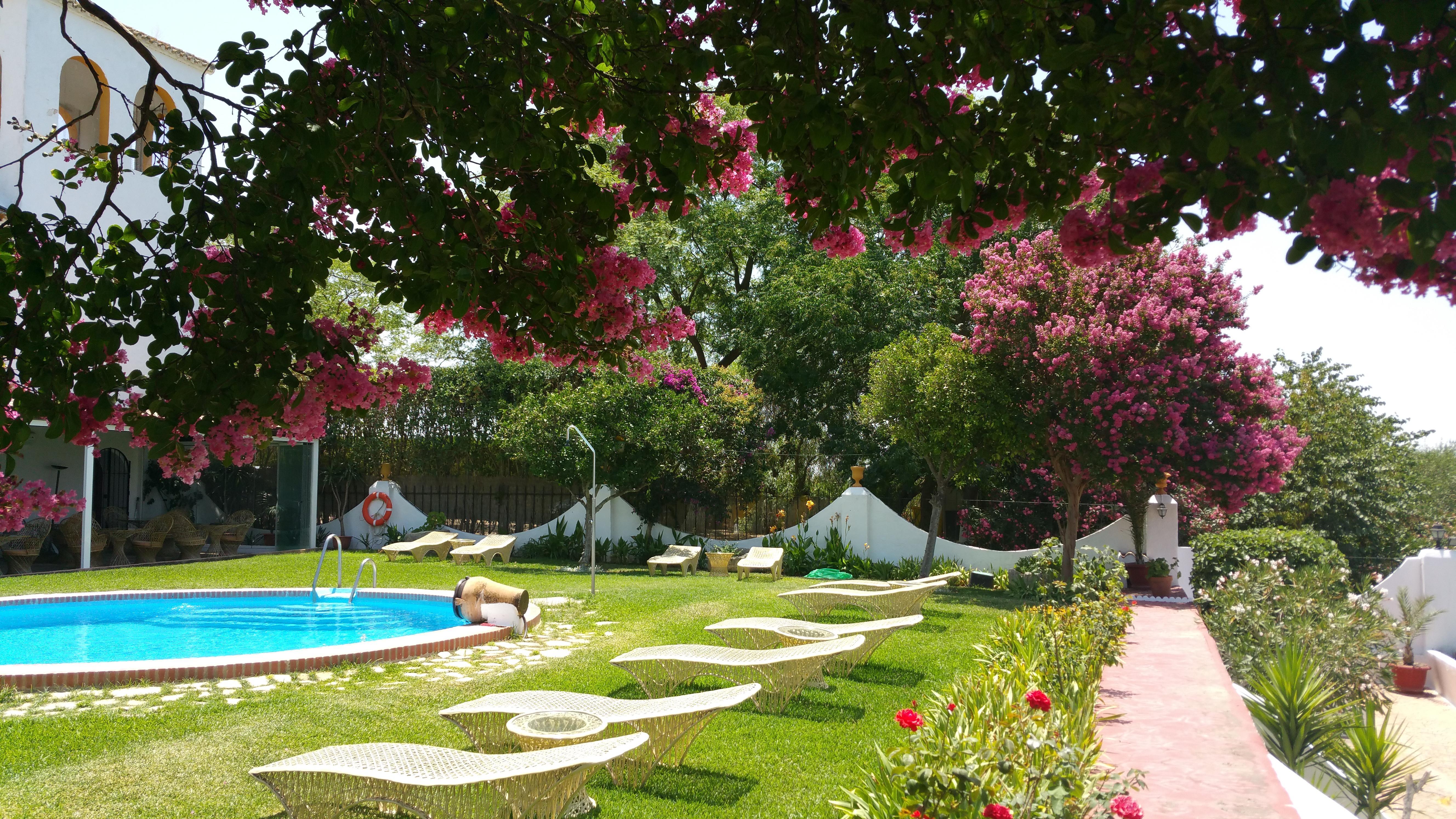 Отель Hacienda El Santiscal Adults Only Аркос де ла Фронтера Экстерьер фото